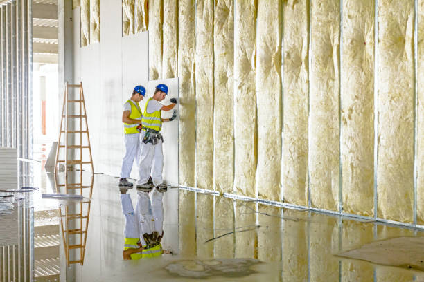 Best Residential Insulation in Lakeview, WA